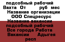 подсобный рабочий . Вахта. От 30 000 руб./мес. › Название организации ­ ООО Спецресурс › Название вакансии ­ подсобный рабочий - Все города Работа » Вакансии   . Адыгея респ.